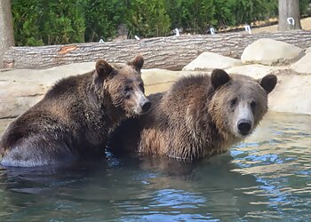 Akron Places To See Akron Zoo