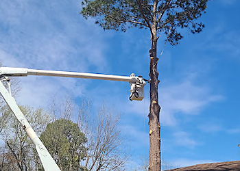 Montgomery Tree Services Alabama Tree Service