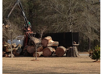 Montgomery Tree Services Alabama Tree Service