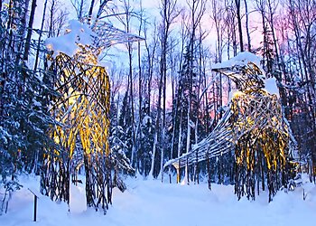 Anchorage Places To See Alaska Botanical Garden