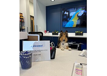 Anchorage Veterinary Clinics Alaska Veterinary Clinic