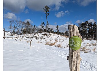 Albany Hiking Trails Albany Pine Bush Preserve