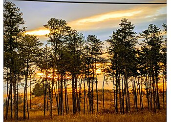 Albany Hiking Trails Albany Pine Bush Preserve