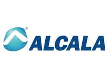 Alcala IT Consulting Pasadena It Services