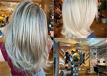 Sacramento Hair Salons Alchemy Salon & Spa