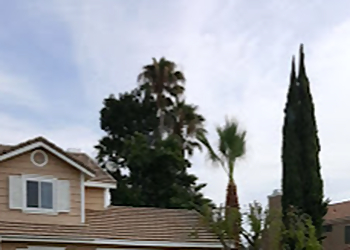 Fontana Tree Services Alejandro's Tree Service