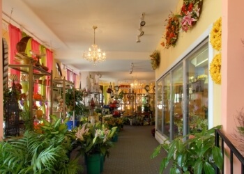 Alex Waldbart Florist & Flower Delivery - St Louis, MO Florists - Floral Arrangement Image