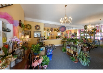 Alex Waldbart Florist & Flower Delivery - St Louis, MO Florists - Fresh Flowers Image