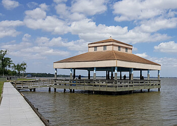 Houston Public Parks Alexander Deussen Park