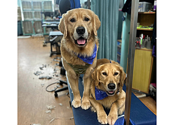 Fort Lauderdale Pet Grooming Alexandria's Grooming