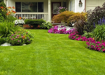 3 Best Lawn Care Services In Elk Grove Ca Expert Recommendations