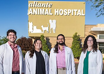 North Las Vegas Veterinary Clinics Aliante Animal Hospital