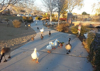 North Las Vegas Hiking Trails Aliante Nature Discovery Park