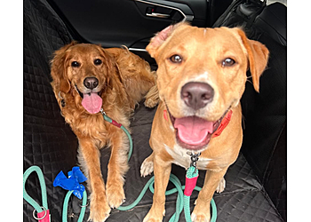 Alissa's Pet Services Alissa's Pet Services - Bakersfield, CA Dog Walkers - Job Site Image