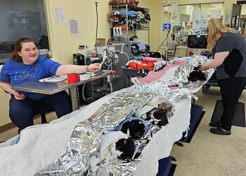 Warren Veterinary Clinics All About Animals Rescue