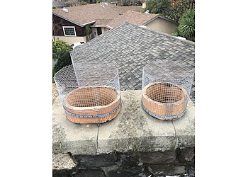 All About Chimney Sweep And Repair Tampa - Tampa, FL Chimney Sweep - Project Image