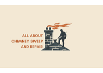 All About Chimney Sweep And Repair Tampa - Tampa, FL Chimney Sweep - Company Logo