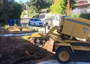 El Cajon Tree Services All Access Tree Care