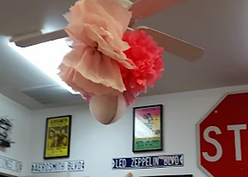 Garland Driving Schools All American Driving School