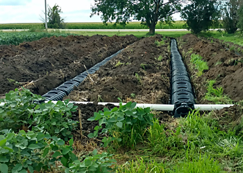 Naperville Septic Tank Services All Around Pumping Service, Inc.