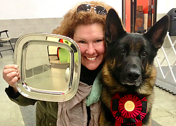 All Breed Dog Obedience Training All Breed Dog Obedience Training - Des Moines, IA Dog Training - Service Image