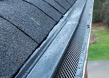 Minneapolis Gutter Cleaners AllBright Home Services