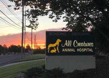 AllCreaturesAnimalHospital Columbia MO