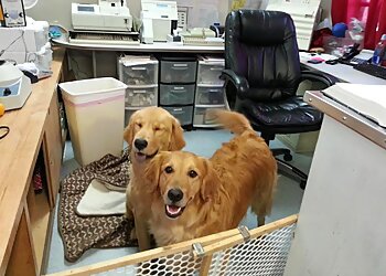 Costa Mesa Veterinary Clinics All Creatures Care Cottage