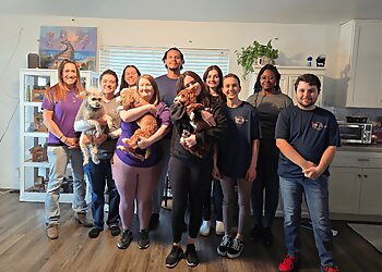 All Creatures Pet Sitting Henderson Dog Walkers image 1