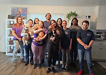 Las Vegas Dog Walkers All Creatures Pet Sitting