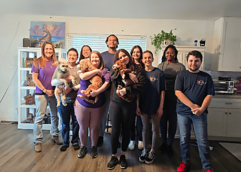 All Creatures Pet Sitting All Creatures Pet Sitting - North Las Vegas, NV Dog Walkers - Team Image