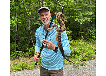 Chattanooga Animal Removal All Creatures Wildlife Services