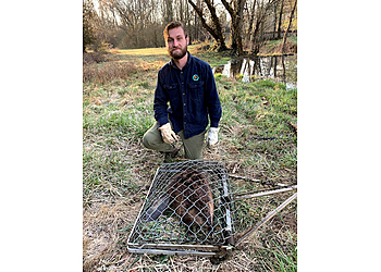 Chattanooga Animal Removal All Creatures Wildlife Services