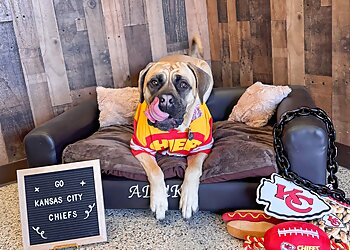 Kansas City Dog Training All Dogs Unleashed