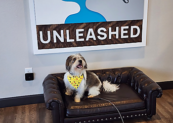 All Dogs Unleashed Dog Training Dallas  - Carrollton, TX Dog Training - Business Interior Image