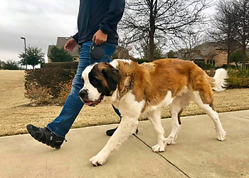 All Dogs Unleashed Dog Training Des Moines All Dogs Unleashed Dog Training Des Moines - Des Moines, IA Dog Training - Service Image