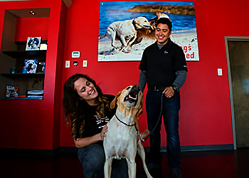 All Dogs Unleashed Dog Training Frisco - Frisco, TX Dog Training - Professional Highlights