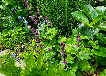All Gardens Inc. - Cambridge, MA Landscaping Companies - Indoor Service Image