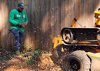 All Green Tree Care - High Point, NC Tree Services - Project Image