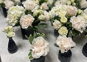 Dallas Florists All Occasions Florist