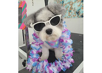 Columbus Pet Grooming All Paws Retreat