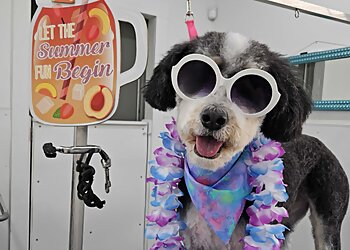 Columbus Pet Grooming All Paws Retreat