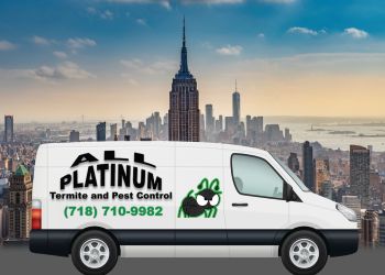 All Platinum Pest Control New York Pest Control Companies