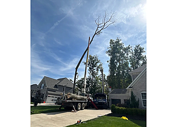 All Season Tree Service & Landscaping - Cleveland, OH Tree Services - Service Image