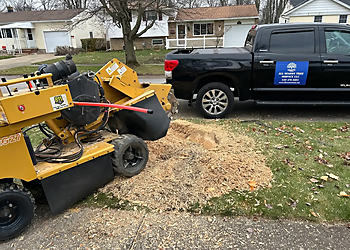 All Season Tree Service & Landscaping - Cleveland, OH Tree Services - Outdoor Work Image