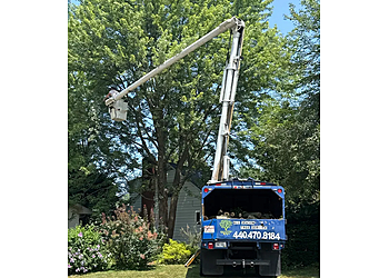 All Season Tree Service & Landscaping All Season Tree Service & Landscaping - Cleveland, OH Tree Services - Service Vehicle Image