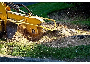 All Seasons Tree Care - Toledo, OH Tree Services - Service Vehicle Image