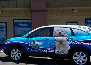 Sacramento Dog Training All Stage Canine Development