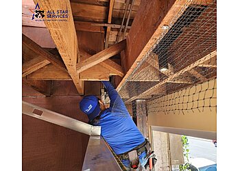 Los Angeles Animal Removal All Star Animal Trapping