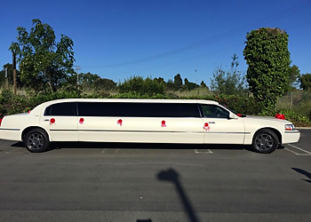 Fremont Limo Service All Star Bay Limo